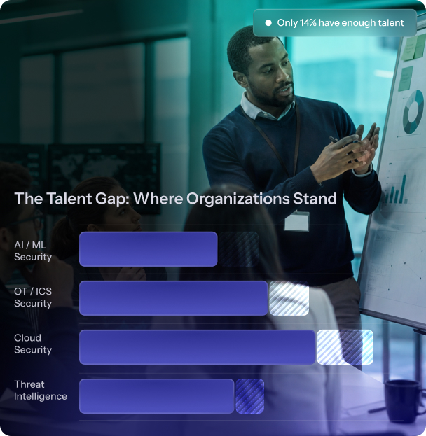 Cybersecurity Talent Crisis
